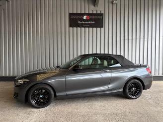Voiture accidenté BMW 2-serie 0d Advantage Cabriolet LED / Navigation 2018/9