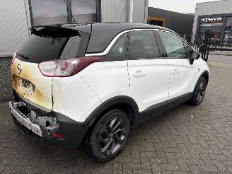 Opel Crossland X 1.2 120 Jaar Edition picture 6