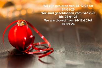 skadebil auto Audi  Gesloten van 24-12 tot 04-01-26 2026/1