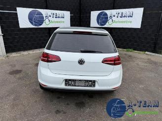 Volkswagen Golf Golf VII (AUA), Hatchback, 2012 / 2021 1.6 TDI 16V picture 2