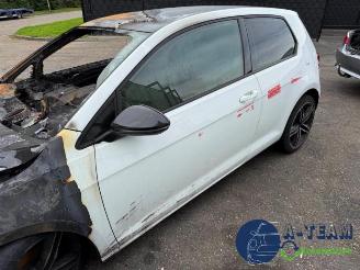 Volkswagen Golf Golf VII (AUA), Hatchback, 2012 / 2021 1.6 TDI 16V picture 5