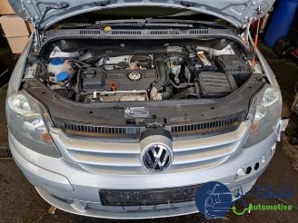 Volkswagen Golf plus Golf Plus (5M1/1KP), MPV, 2005 / 2013 1.4 TSI 122 16V picture 11