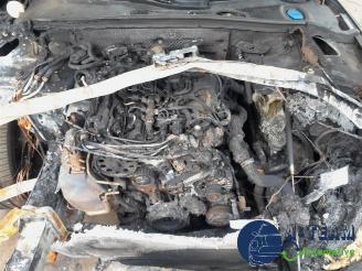 Audi 50 A5 Sportback (8TA), Liftback, 2009 / 2017 2.0 TDI 16V picture 12