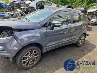 Ford EcoSport EcoSport (JK8), SUV, 2013 1.0 EcoBoost 12V 125 picture 5