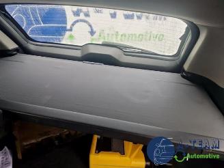 Opel Antara Antara (LA6), SUV, 2006 / 2017 2.4 16V 4x4 picture 26