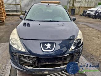 Peugeot 206 206+ (2L/M), Hatchback, 2009 / 2013 1.4 XS picture 17