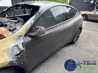 Tesla Model Y Model Y (5YJY), SUV, 2019 / 2025 Long Range,Performance picture 31