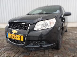 škoda osobní automobily Chevrolet  Aveo (250) Hatchback 1.2 16V (B12D1(Euro 5)) [62kW]  (04-2008/05-2011)= 2010/3