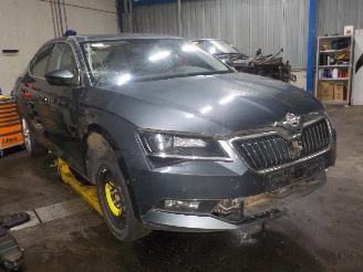 Skoda Superb Superb (3V3) Hatchback 2.0 TDI (DFCA) [140kW]  (03-2015/...) picture 2