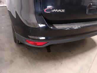 Ford Grand C-Max Grand C-Max (DXA) MPV 1.0 Ti-VCT EcoBoost 12V 125 (M1DA(Euro 5)) [92kW=
]  (10-2012/06-2019) picture 20