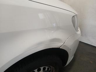 Volkswagen Caddy Caddy III (2KA,2KH,2CA,2CH) Van 1.6 TDI 16V (CAYE) [55kW]  (08-2010/05=
-2015) picture 24