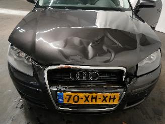 Audi A3 A3 Sportback (8PA) Hatchback 5-drs 1.8 TFSI 16V (BYT) [118kW]  (11-200=
6/03-2013) picture 22