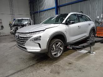 Démontage voiture Hyundai Nexo Nexo I Hatchback FCEV FWD (FM12) [120kW]  (03-2018/...) 2019/4
