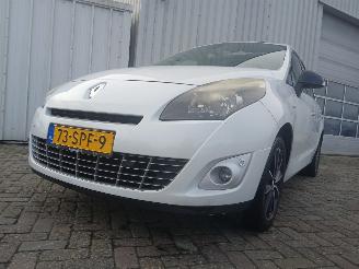 škoda osobní automobily Renault Scenic Grand Scénic III (JZ) MPV 1.6 dCi (R9M-402(R9M-A4)) [96kW]  (04-2011=
/12-2016) 2011/11