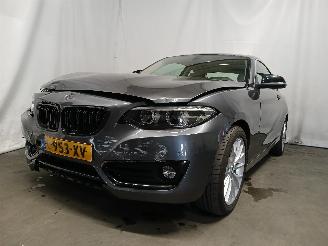 krockskadad bil auto BMW 2-serie 2 serie (F22) Coupé 218i 1.5 TwinPower Turbo 12V (B38-B15A) [100kW] =
 (03-2015/06-2021) 2018/5