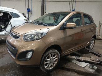Uttjänta bilar auto Kia Picanto Picanto (TA) Hatchback 1.0 12V (G3LA) [51kW]  (05-2011/06-2017) 2011/12