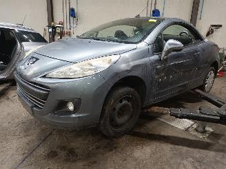 Autoverwertung Peugeot 207 207 CC (WB) Cabrio 1.6 HDiF 16V (DV6C(9HR)) [82kW]  (08-2009/10-2013) 1980