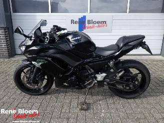 danneggiata motocicli Kawasaki Ninja 650  2021/5