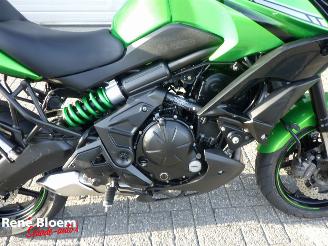Kawasaki  Versys 650 picture 21
