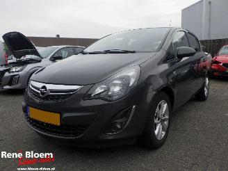 krockskadad bil auto Opel Corsa 1.2 Ecoflex Design Edition LPG 2014/4