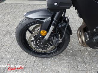 Kawasaki Versys 650 picture 13