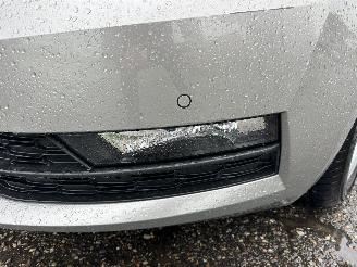 Skoda Octavia 1.0 TSI 115pk 6-bak Greentech Amb Bus sedan - navi - clima - cruise - pdc v+a - licht + regensensor picture 93