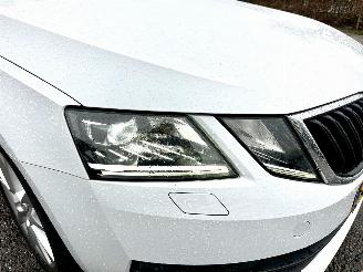 Skoda Octavia 1.0 TSI 116pk 6-bak Greentech Bus Edition Plus - xenon - virtual - camera - pdc - carplay - clima - cruise picture 8