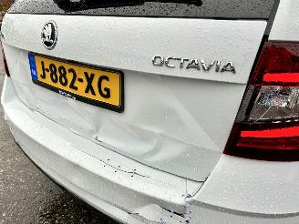 Skoda Octavia 1.0 TSI 116pk 6-bak Greentech Bus Edition Plus - xenon - virtual - camera - pdc - carplay - clima - cruise picture 97