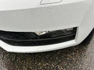 Skoda Octavia 1.0 TSI 116pk 6-bak Greentech Bus Edition Plus - xenon - virtual - camera - pdc - carplay - clima - cruise picture 108