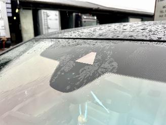 Volkswagen e-Golf 7.5 aut Highl - nap - virtual - keyless - leer - stoelverw - sfeerverl - cam - front + line + side assist picture 85