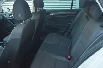 Volkswagen e-Golf 36kwh E-edition picture 6
