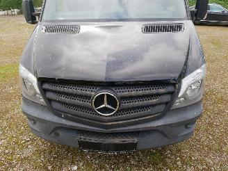 Mercedes Sprinter 313 CDI picture 5