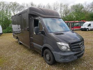 Mercedes Sprinter 313 CDI picture 2