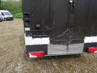 Mercedes Sprinter 313 CDI picture 12