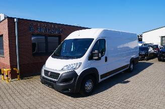 bruktbiler bedrijf Fiat Ducato MAXI L5 H2 2019/9