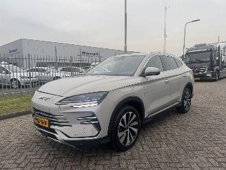 Avarii autoturisme BYD Seal U  2025/5