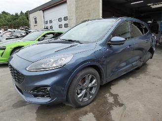 škoda osobní automobily Ford Kuga ST Line X plug-in Hybrid 2023/6