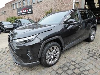  Toyota Rav-4 Hybrid 4x2 2024/1