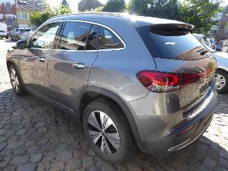 Mercedes EQA 250 picture 6