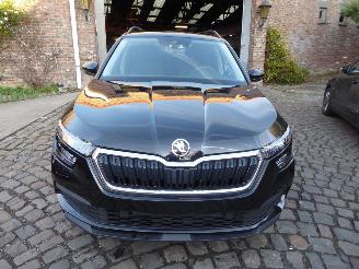 Skoda Kamiq  picture 2