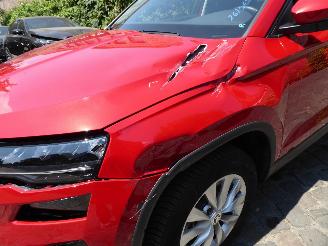 Skoda Karoq Selection picture 2