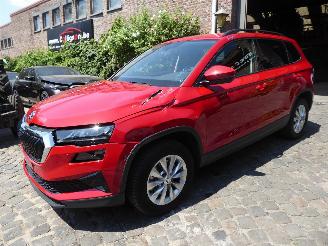 Avarii autoturisme Skoda Karoq Selection 2024/9