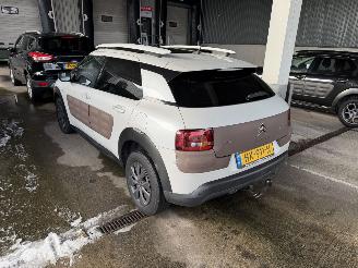 Citroën C4 cactus 1.6 BlueHDi Panorama Camera picture 4
