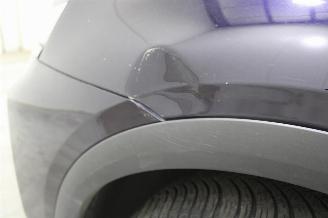 DS Automobiles DS 7 Crossback DS7 Crossback picture 8