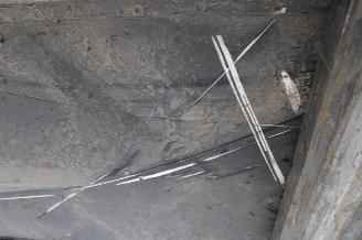 Tesla Model Y  picture 16