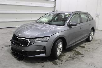 Sloopauto Skoda Octavia  2024/12