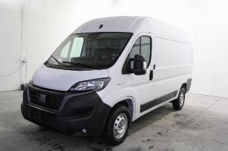 Sloopauto Fiat Ducato  