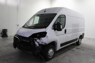 Avarii autoturisme Opel Movano  2022/12