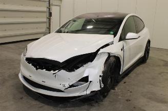 krockskadad bil auto Tesla Model X  2023/12