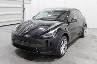 Damaged car Tesla Model Y  2024/8